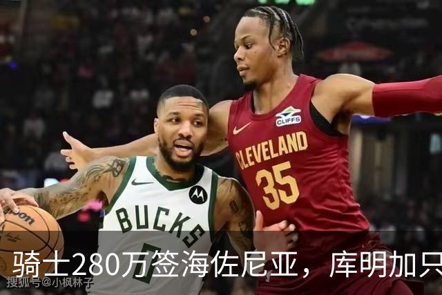 骑士280万签海佐尼亚，库明加只剩湖人一个下家